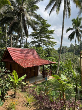 Cabin D Bendul and Warung